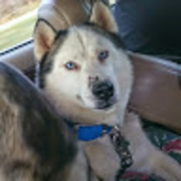 Meet your Posher, Kyle - Picture 1 of 1